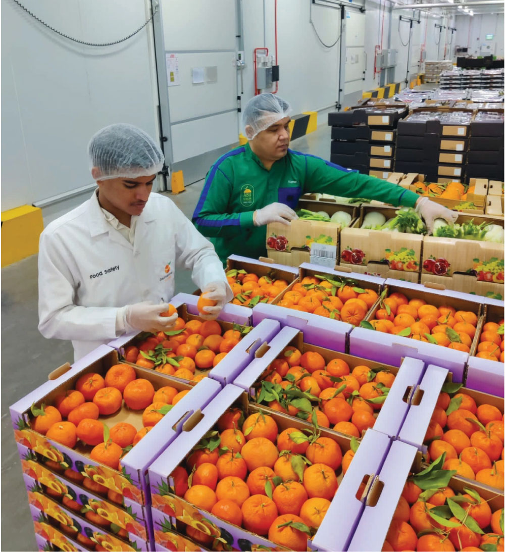 Quality Inspections 1