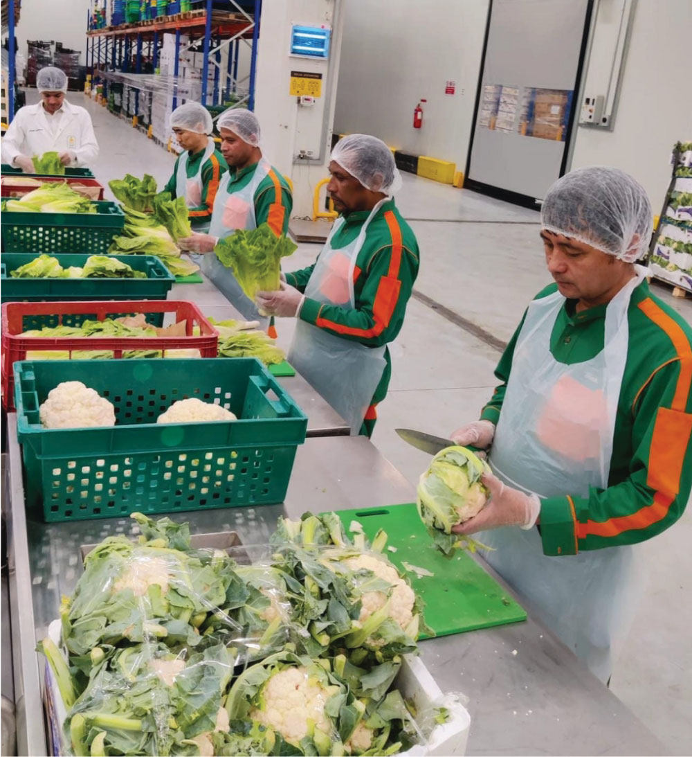 Quality Inspections 3