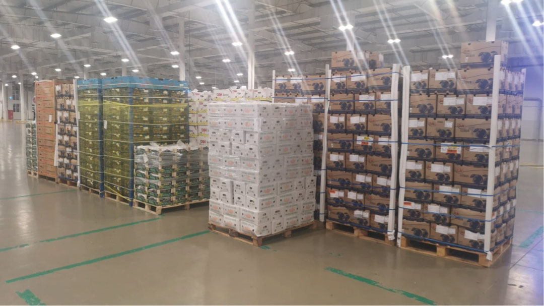 Sailiya Central Market 2